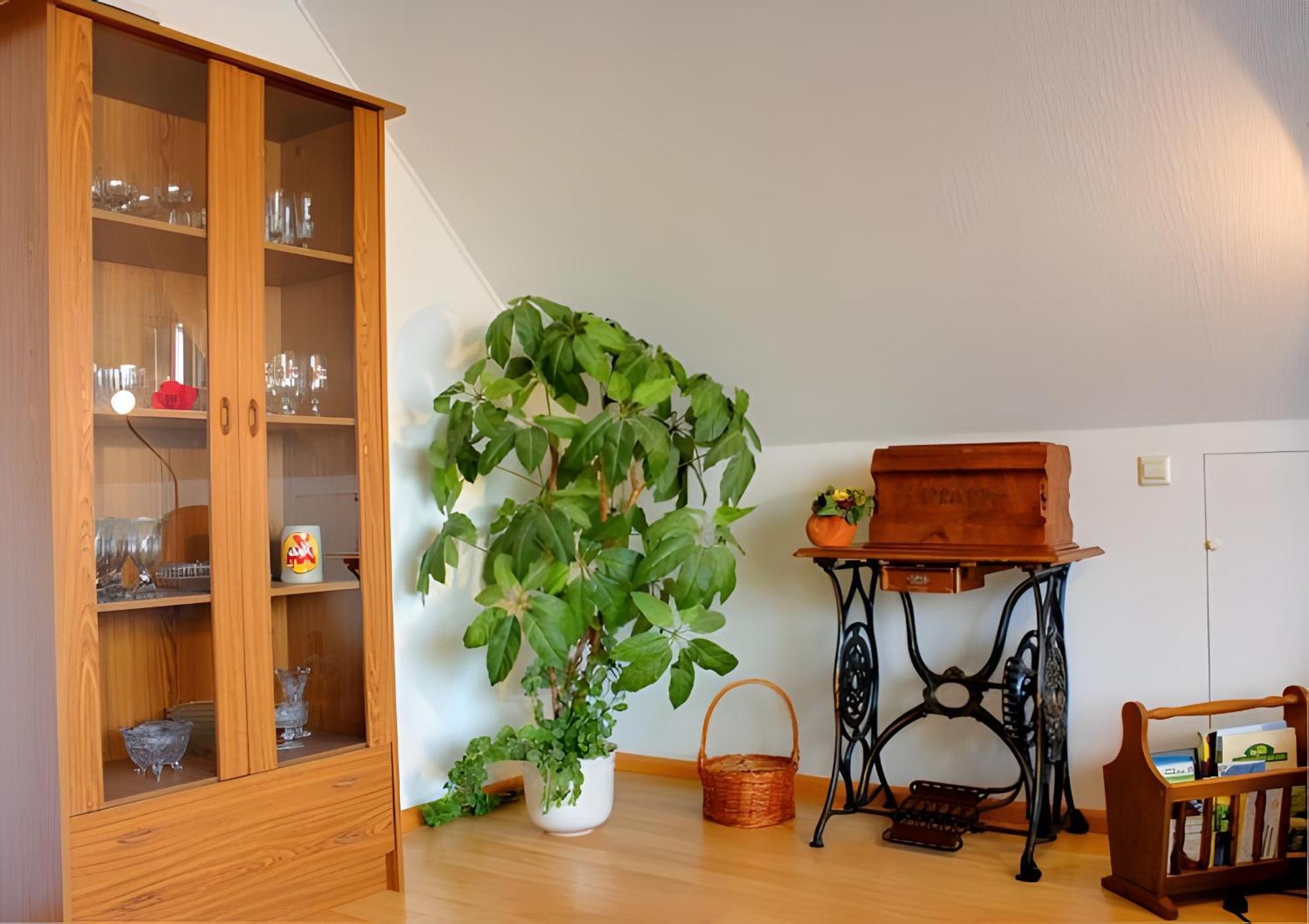 Apartament Haus Wehrle Breisach Zewnętrze zdjęcie